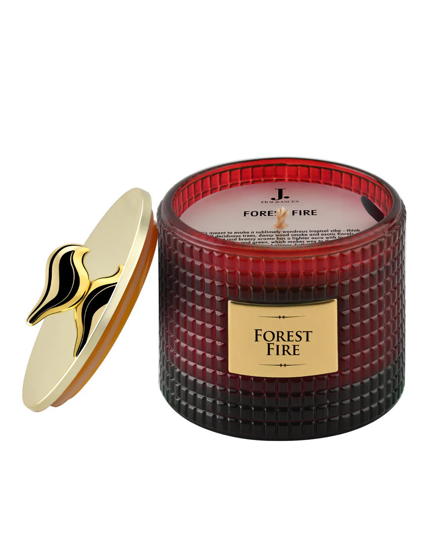 FOREST FIRE - Image 2