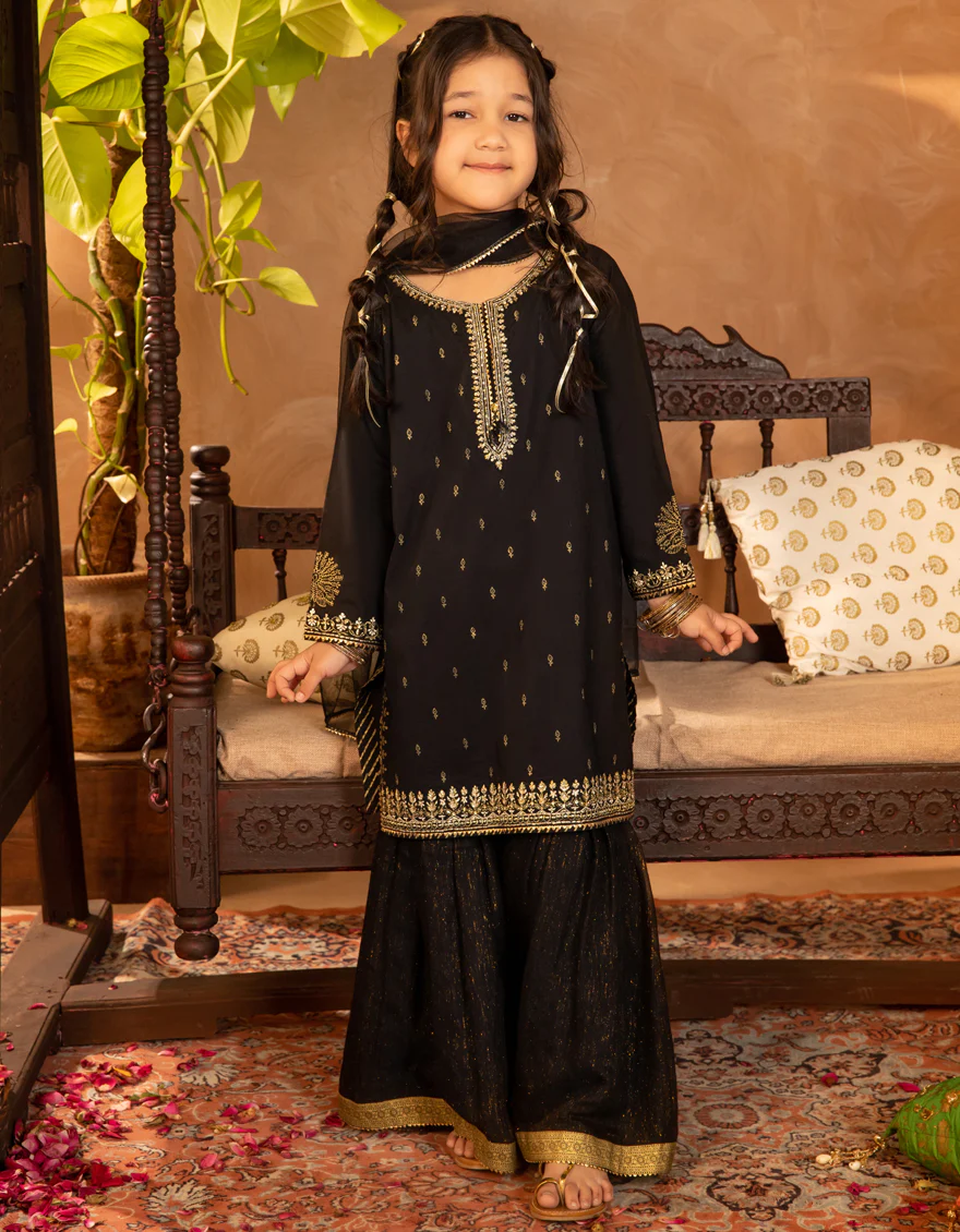 BLACK LAWN 3PC STITCHED | JGKL-S-JGF-25-1911 F