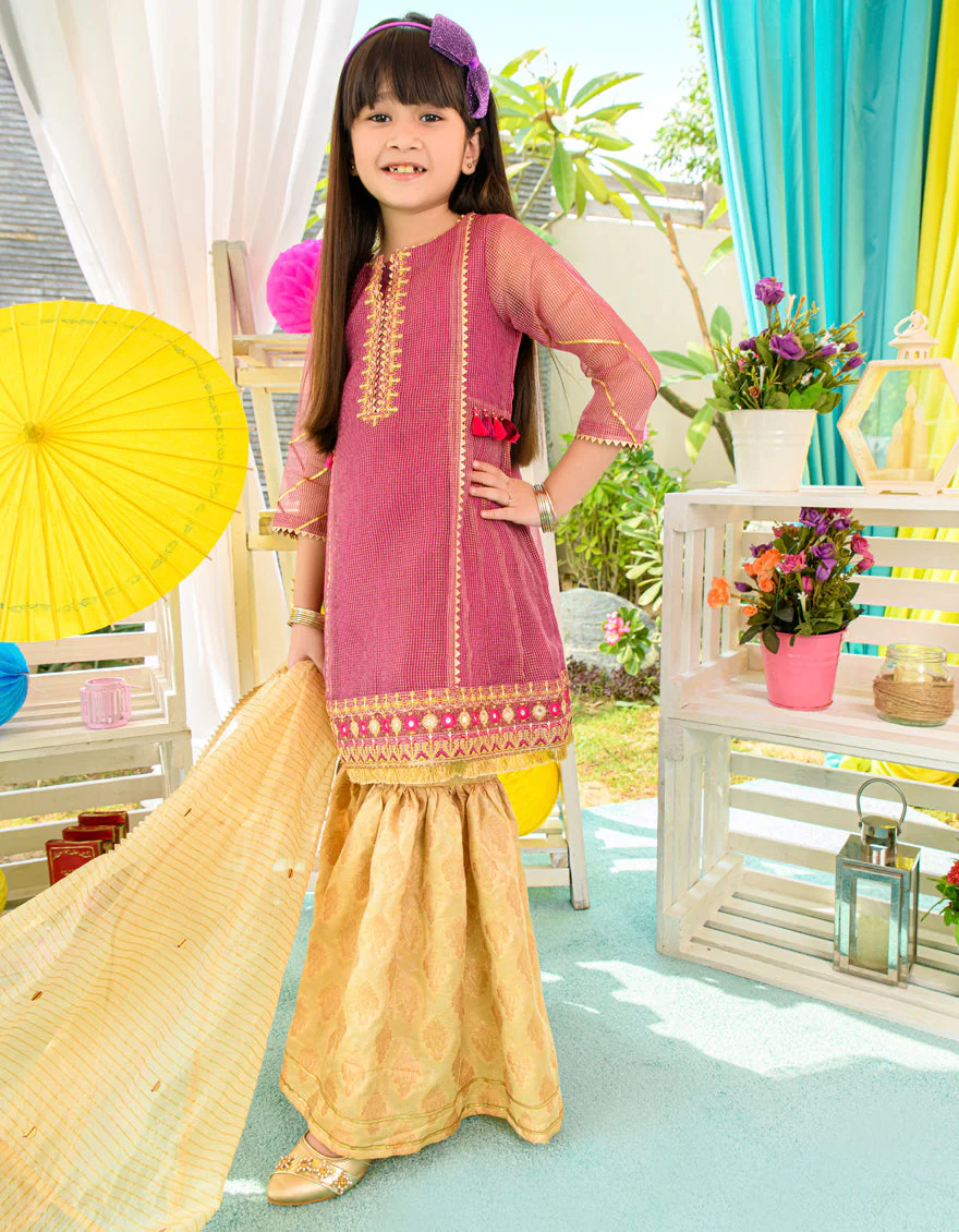 PLUM ZARI 3PC STITCHED | JGKL-S-JJGS-US-22-013 FB/FF-427