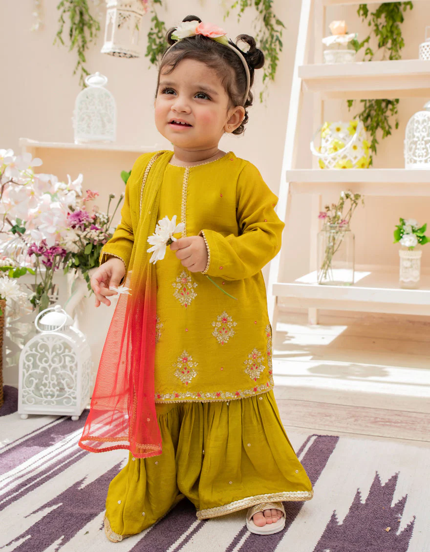 SEA GREEN KARANDI 3PC STITCHED | JIK-S-JGIN-US-22-034 FB/AM-2041