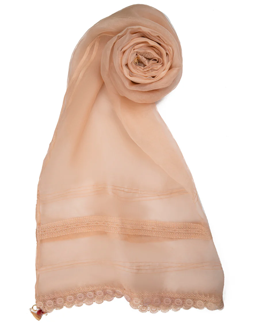 PEACH ORGANZA DUPATTA | JLDP-US-22-109 FB/AM-2062